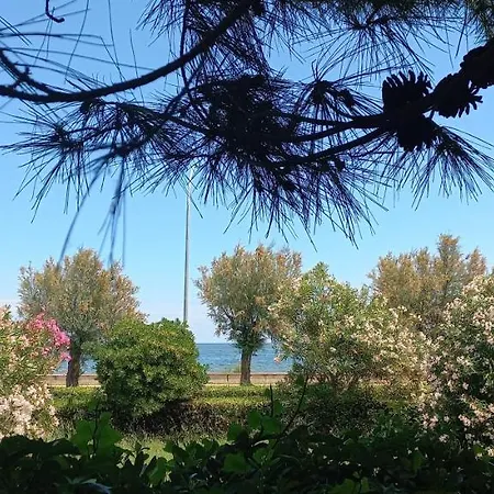 Rosmarino_appartamento Fronte Mare Roseto Degli Abruzzi